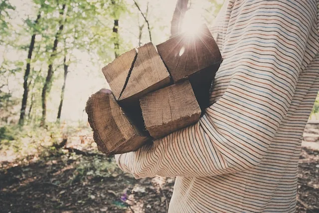 Optimisez Votre Chauffage : Comment Choisir le Meilleur Bois de Chauffage pour Votre Poêle à Bois