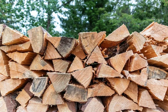 bois de chauffage bien rangé