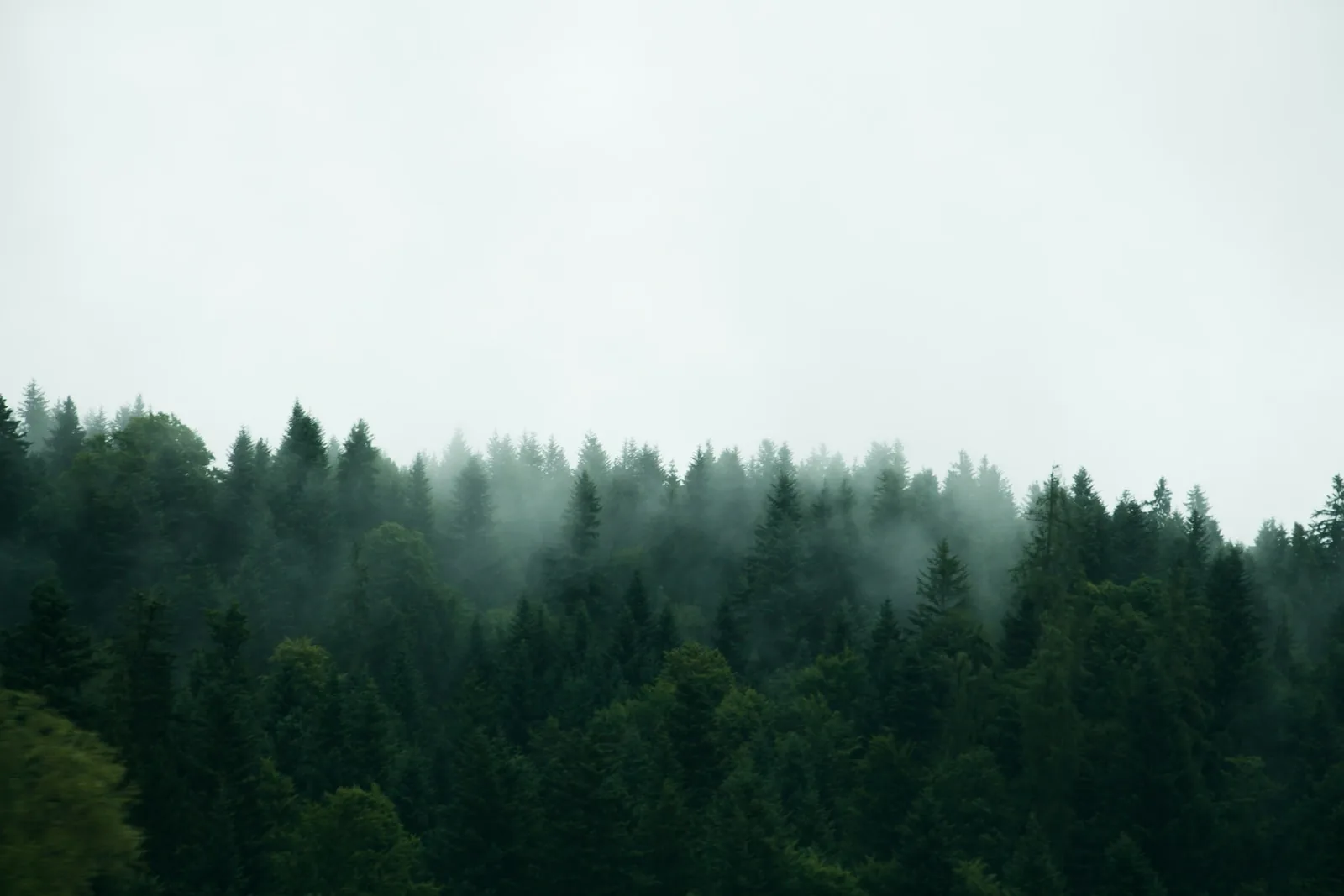 Chauffage écologique