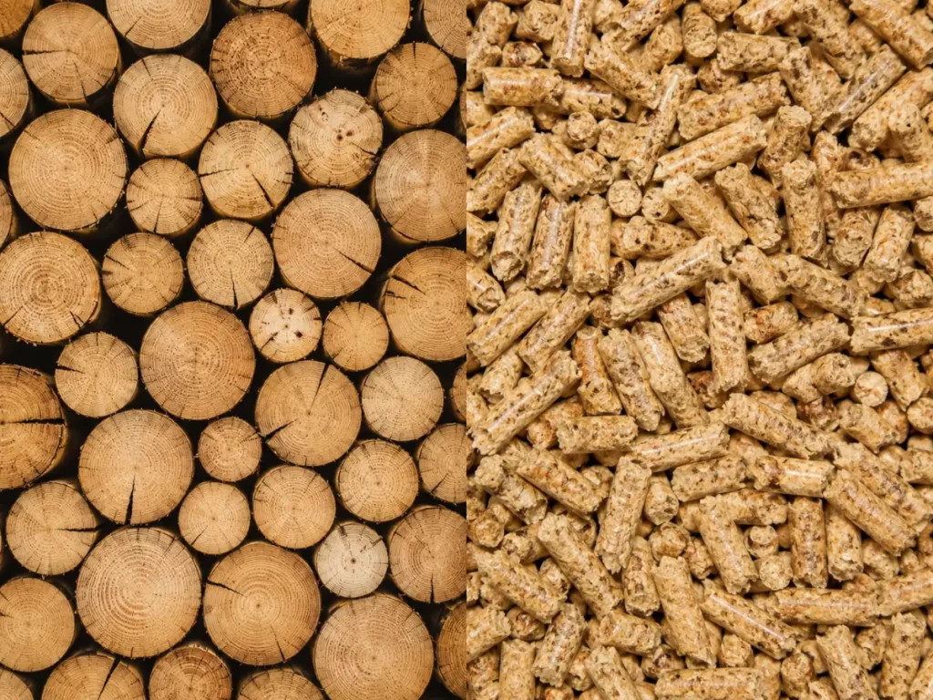 Poêle à bois ou poêle à granulés : lequel choisir pour votre maison ?