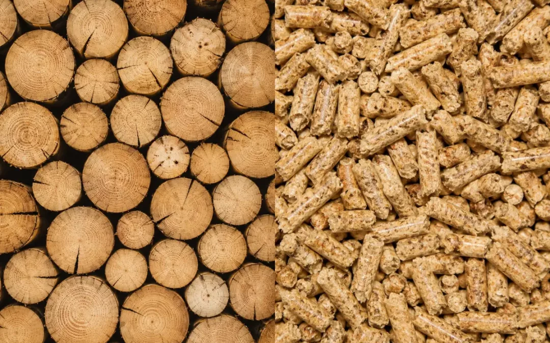 Poêle à bois ou poêle à granulés : lequel choisir pour votre maison ?