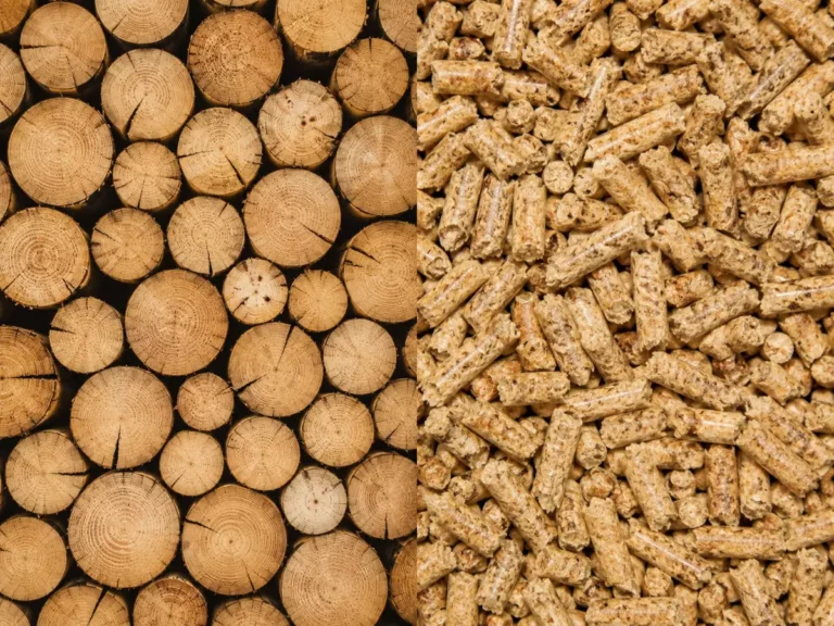 Poêle à bois ou poêle à granulés : lequel choisir pour votre maison ?