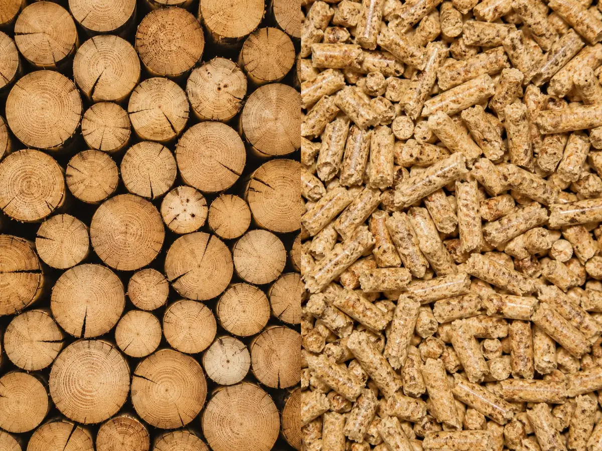 Poêle à bois ou poêle à granulés : lequel choisir pour votre maison ?